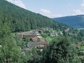 Hotel Waldlust Baiersbronn